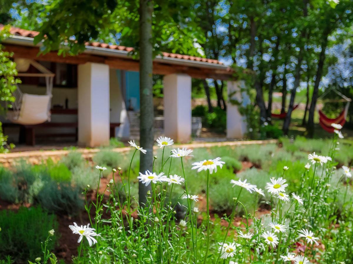 Holiday Home Country House D&D By Interhome Pula Exterior photo